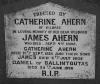 Ahern, Catherine, James and Daniel_thumb.jpg 3.0K
